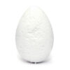 Bomba Huevo Coco en Caja de Huevos