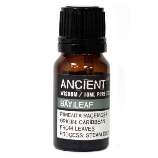 Aceite Esencial Laurel - Imagen 2