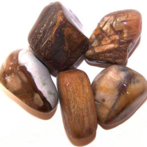 L Tumble Stones - Madera Petrificada
