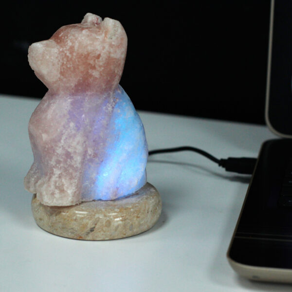 Lámpara de sal USB - Perro - Imagen 2