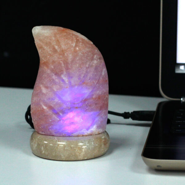Lámpara de sal USB - Hoja - Imagen 2