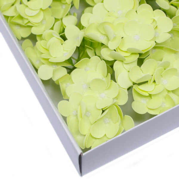 Flores de Jabón Manualidades - Jacinto - verde - Imagen 2