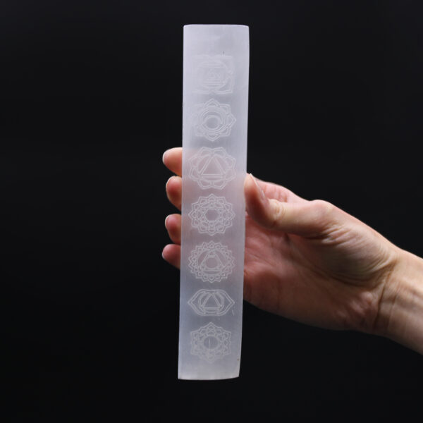 Placa de Carga de Barra Plana 20cm - Chakra - Imagen 3