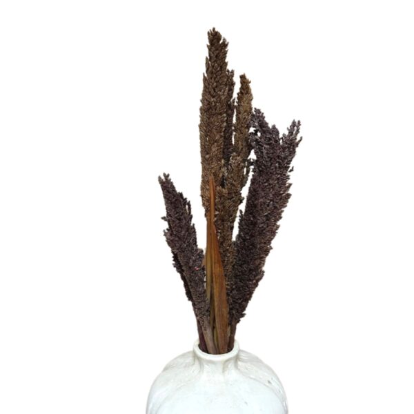 Manojo de Hierba Cantal - Chocolate - Imagen 3