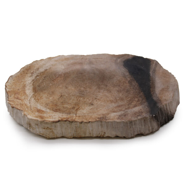 Jabonera Negra de Madera Petrificada - Imagen 4