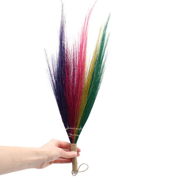 Set 4 - Escoba de Pampas - Rainbow Colours - Imagen 2