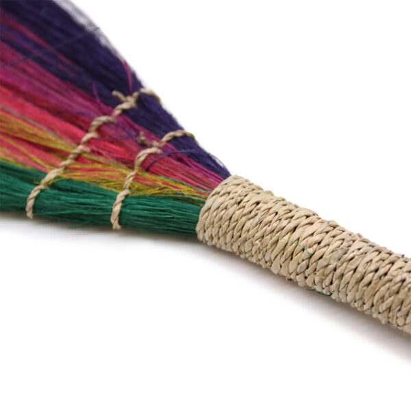 Set 4 - Escoba de Pampas - Rainbow Colours - Imagen 3