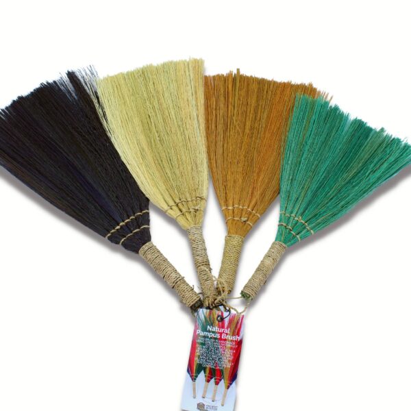 Set 4 - Escoba en Abanico de Pampas - Colores y tamaños Mixtos - Imagen 3