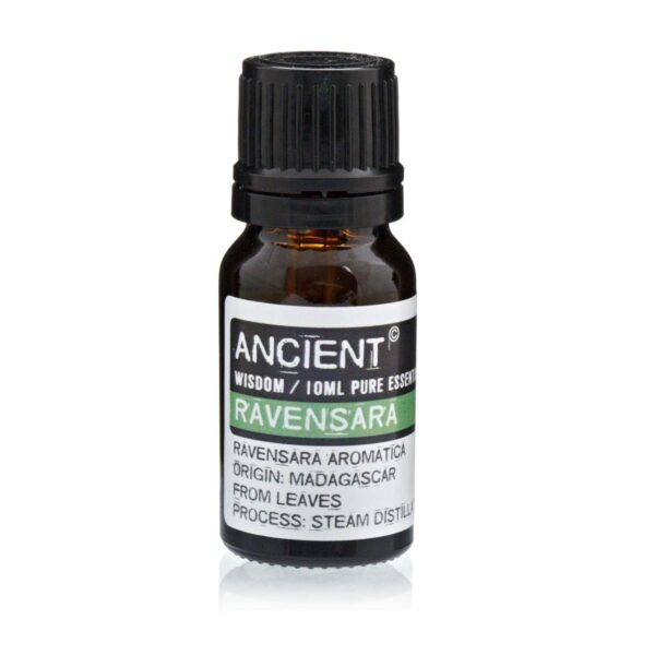 Aceite Esencial Ravensara - Imagen 4